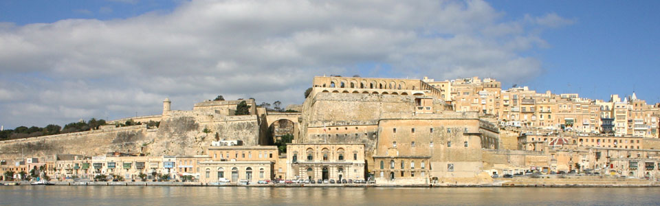 株式会社オルタスジャパン